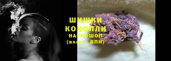 бутират Горнозаводск