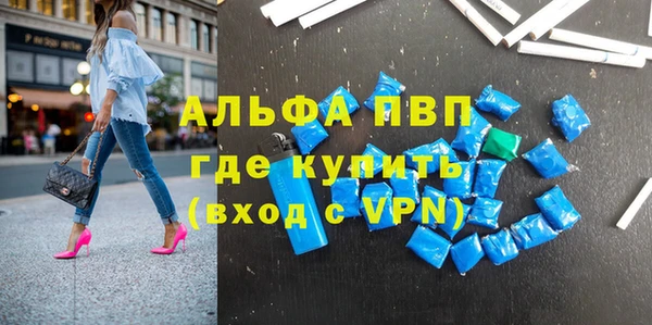 хмурый Абаза