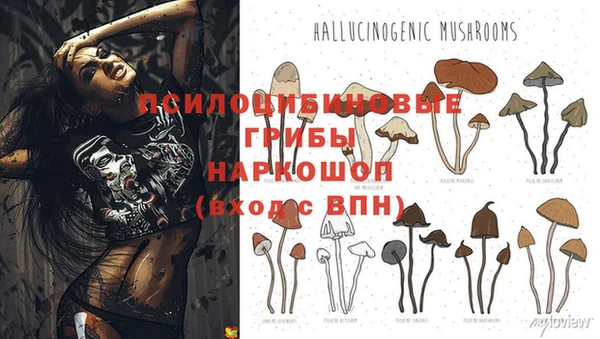 герыч Абинск