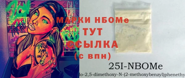 хмурый Абаза