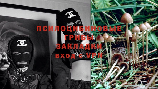 хмурый Абаза