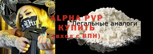 хмурый Абаза