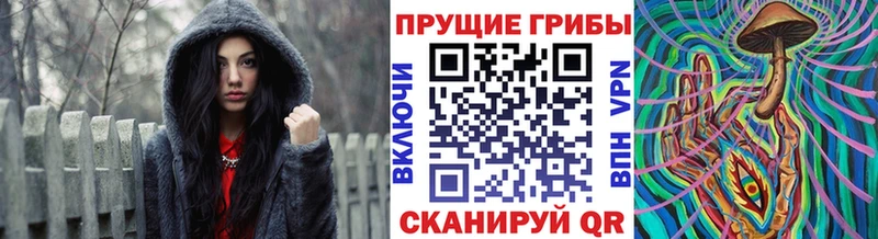 Галлюциногенные грибы Cubensis  Княгинино 